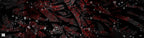 Kombi Racer rot | Eigenproduktion