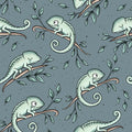 Chamäleon | Katzengold Designs
